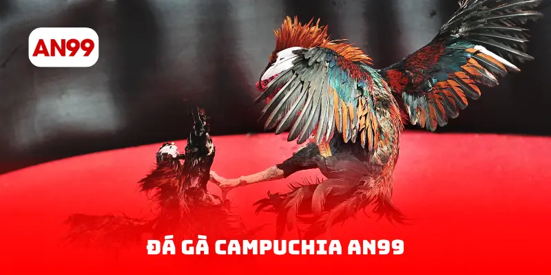 Đá gà Campuchia