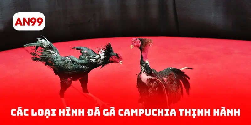 Các loại hình đá gà Campuchia thịnh hành
