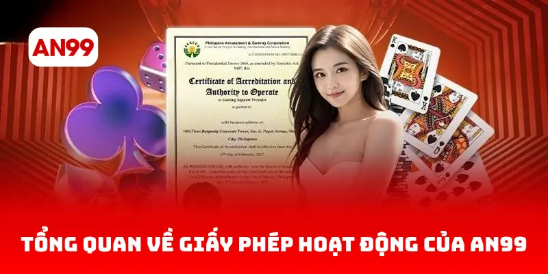 Tổng quan về giấy phép hoạt động của AN99
